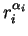 $r_i^{\alpha_i}$